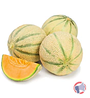 Rappel produit Melon Charentais (photo numéro 1)