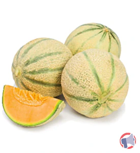 Rappel produit Melon Charentais