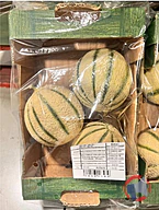 Rappel produit Melon Charentais caissette