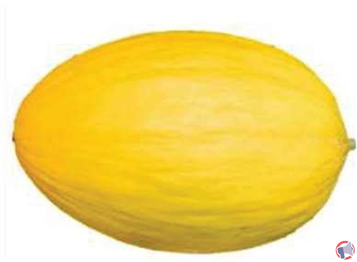 Rappel de melon jaune : quels risques pour la santé et que faire