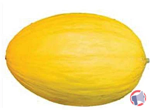 Rappel produit MELON JAUNE