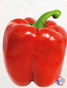 Rappel produit Poivrons rouges METRO CHEF