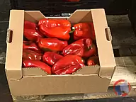 Rappel produit Poivrons rouges METRO Chef origine France - catégorie I - CALIBRE 90/110 - 4kg METRO Chef (photo numéro 1)