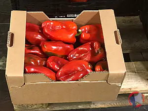 Rappel produit Poivrons rouges METRO Chef origine France - catégorie I - CALIBRE 90/110 - 4kg METRO Chef
