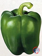Rappel produit Poivrons verts METRO CHEF (photo numéro 1)