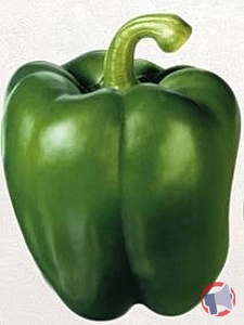 Rappel produit Poivrons verts METRO CHEF