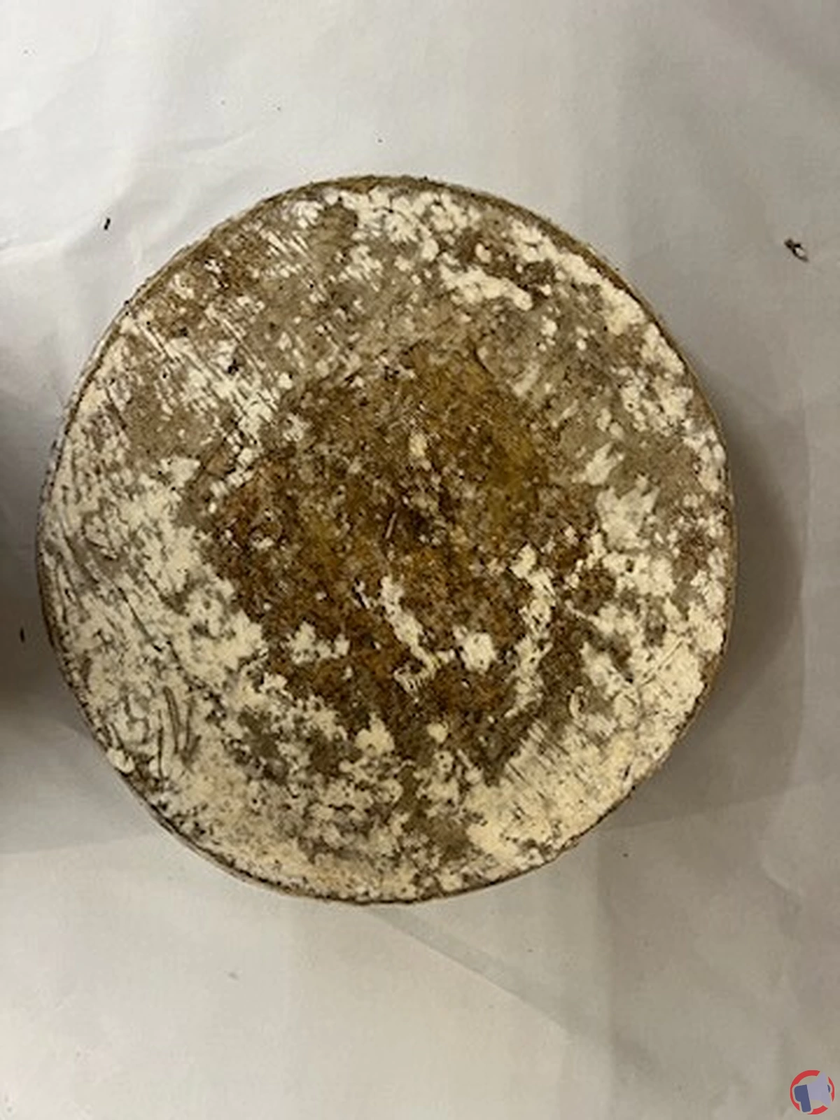 Rappel de produit : la Tomme du Jura de la marque Monts et Terroirs contaminée par Escherichia coli