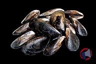 Rappel produit MOULE DE CORDE ELEVEE EN IRLANDE (vrac rayon marée) (photo numéro 1)