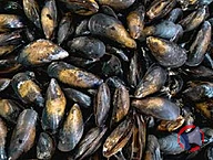 Rappel produit MOULES DE BOUCHOT (photo numéro 1)
