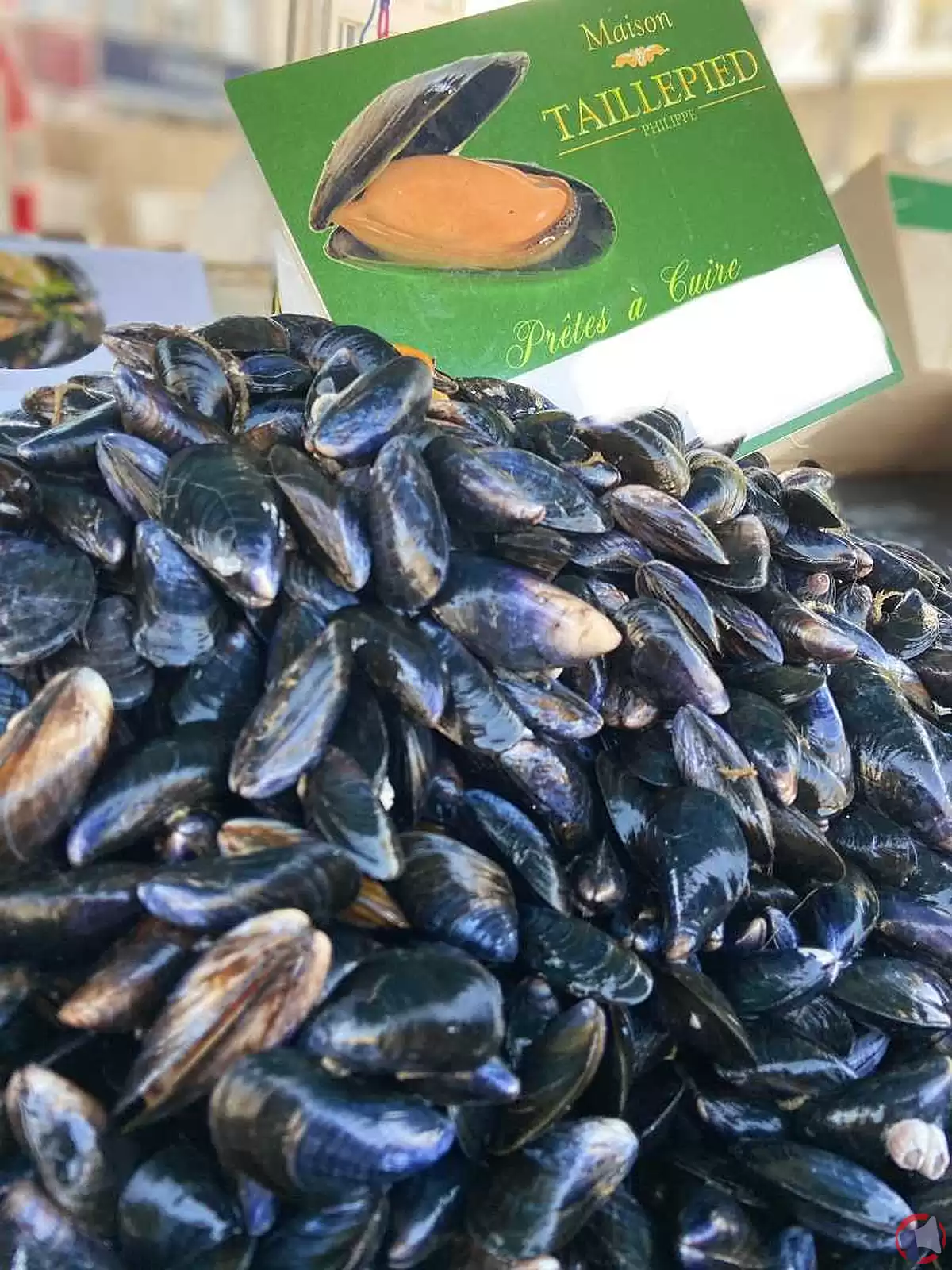 Rappel de produit : Moules Maison Taillepied pour risque de Norovirus