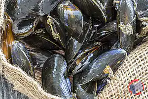 Rappel produit MOULES DE PECHES