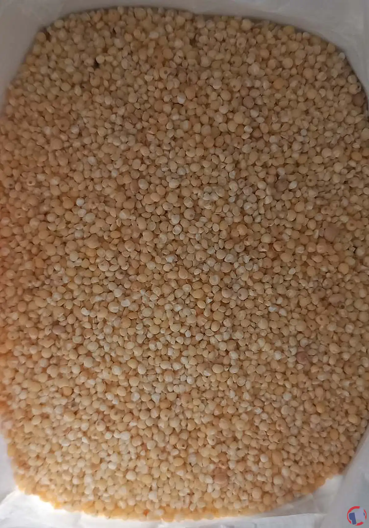 Rappel produit : millet décortiqué Le moulin de la Dême