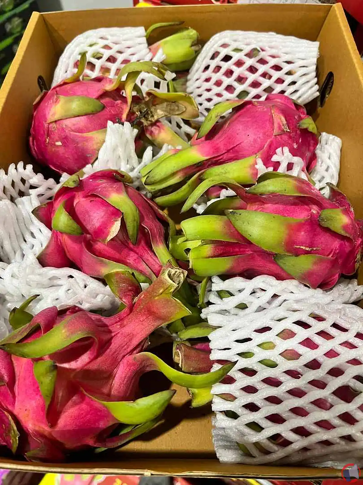 Rappel de produit : Pitaya chair rouge de Namdhari's pour dépassement de pesticides