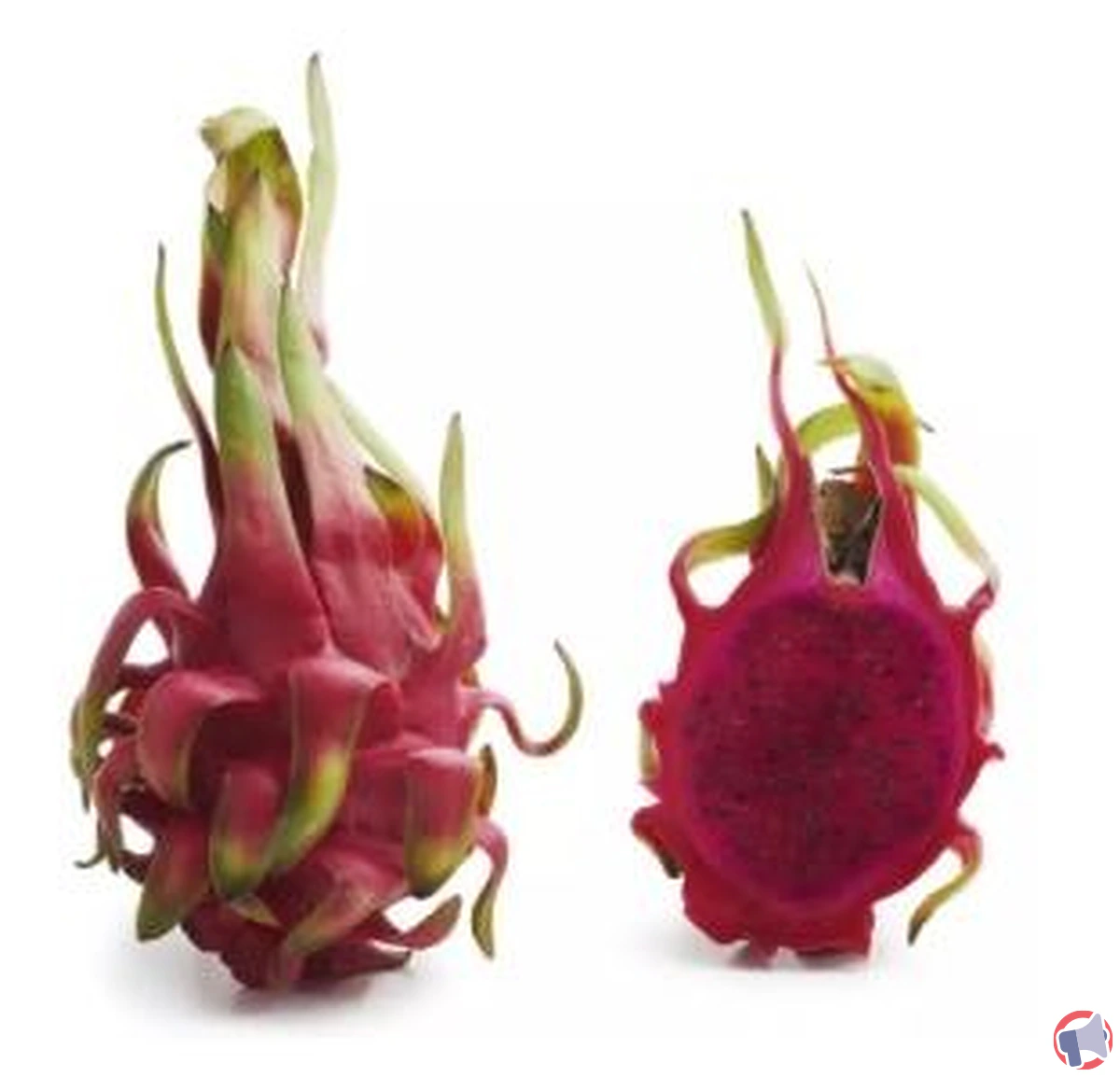 Rappel de pitayas rouges de la marque Namdhari's : dépassement des limites de pesticides