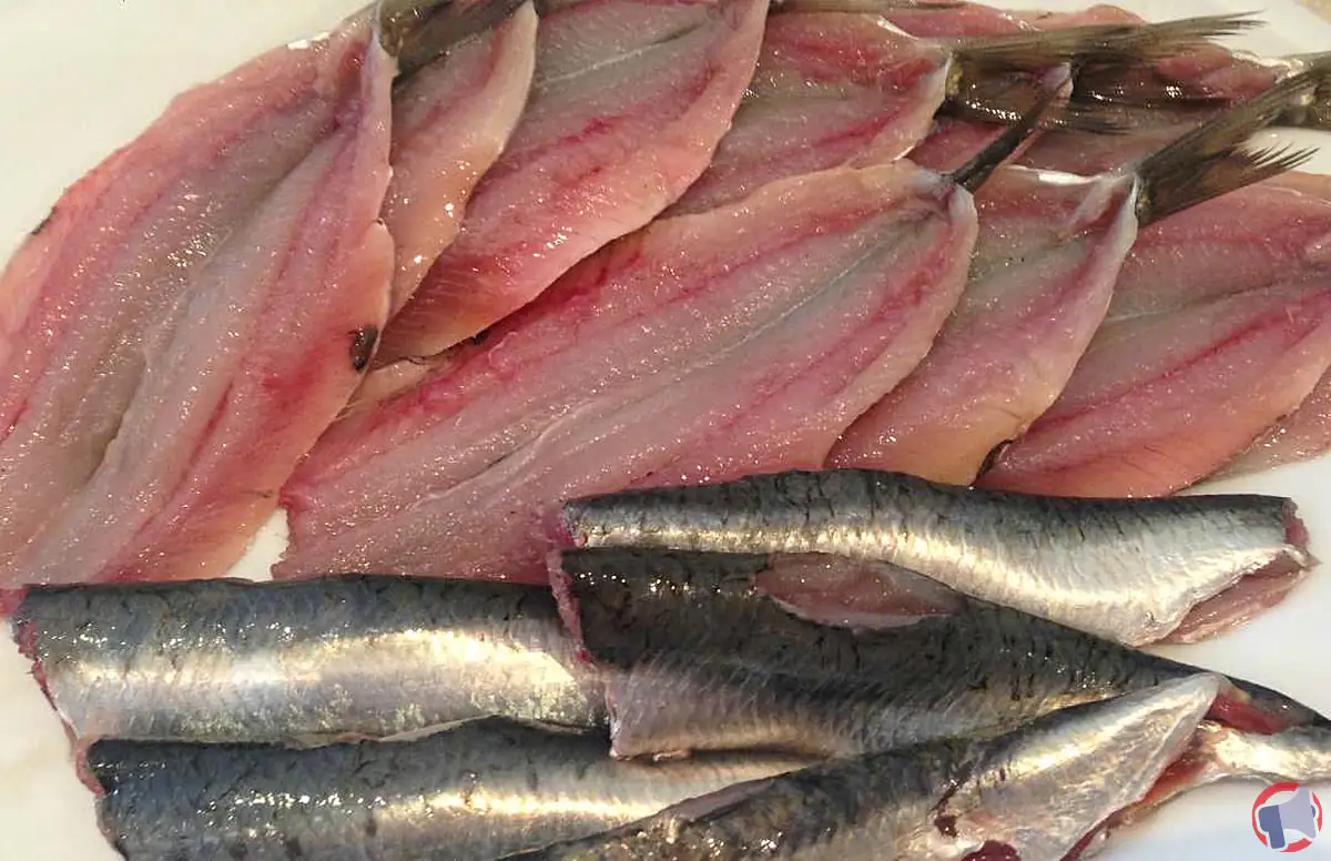 Rappel de produit : filets de sardine de la marque NEGOFISH