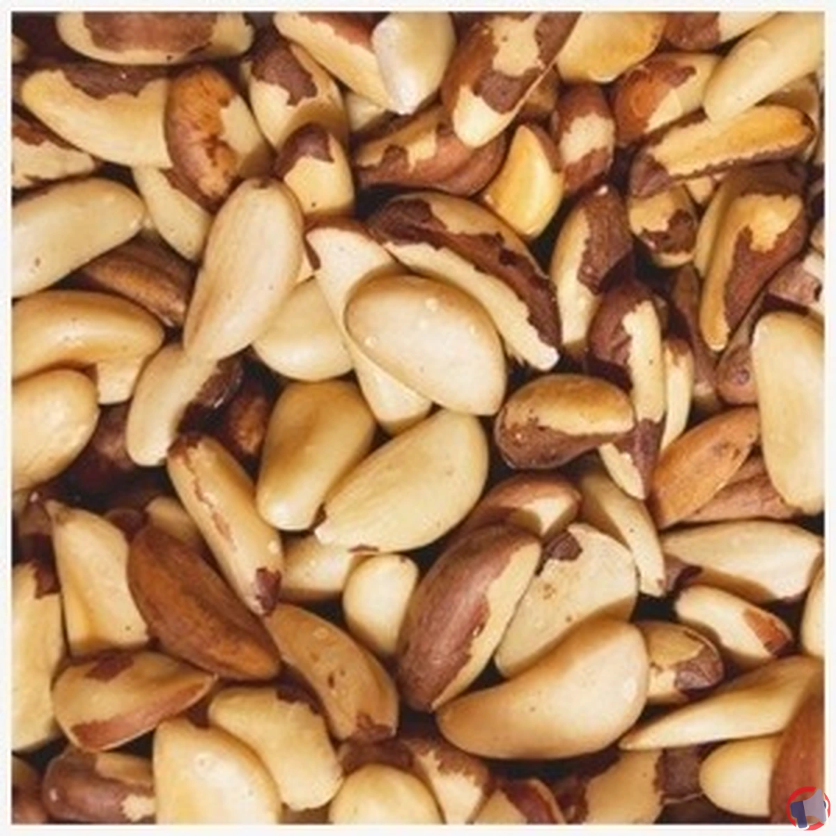 Rappel de produit : Noix du Brésil de la marque Grand Frais pour cause d'aflatoxines