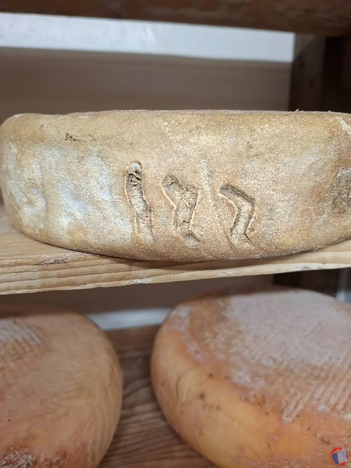 Non concerné : fromage à base de lait cru de vache – analyse du rappel