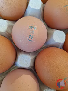 Rappel produit Oeufs coquille Oeufs bio