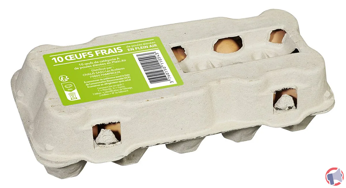 Rappel de produit : œufs plein air tout calibre x10 PPX pour risque de salmonellose