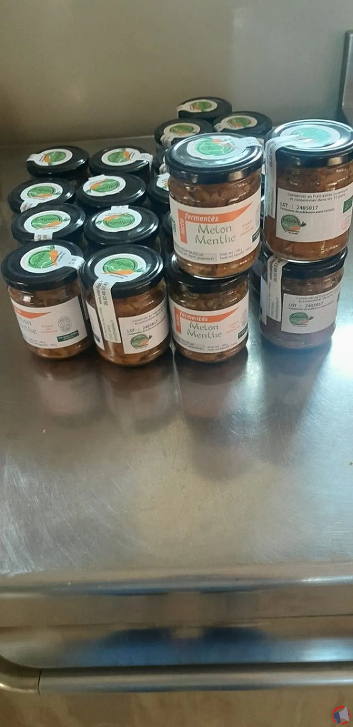 Rappel produit : les lactofermentés de la marque Sa Palpilles