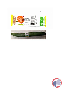 Rappel produit Concombre long lisse biologique Les Paysans Bio