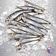 Rappel produit PECHERIES DES HAUTS DE FRANCE Sardine