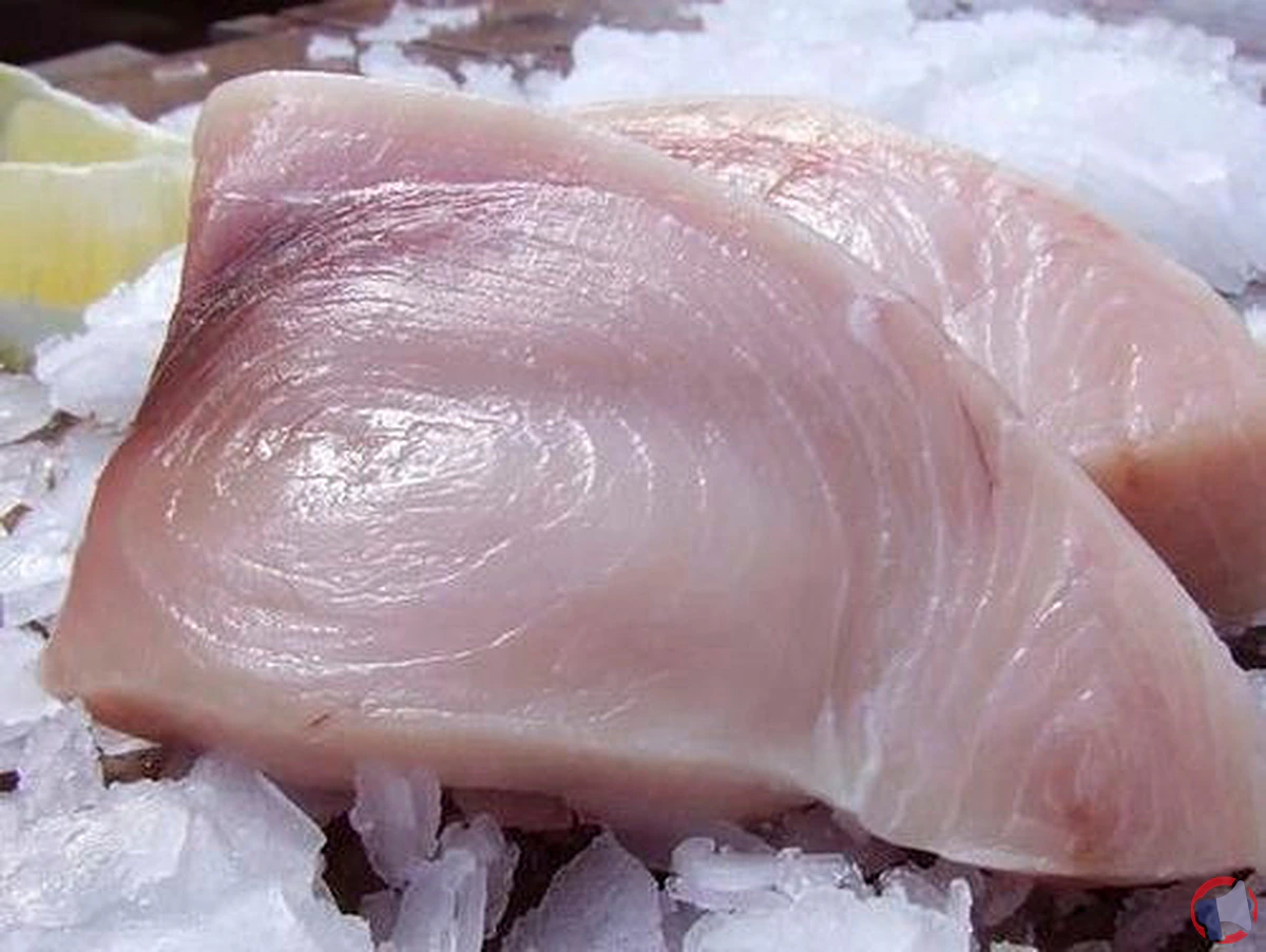 Rappel de produit : longe d'espadon frais de la marque Les pêcheurs d'Oléron
