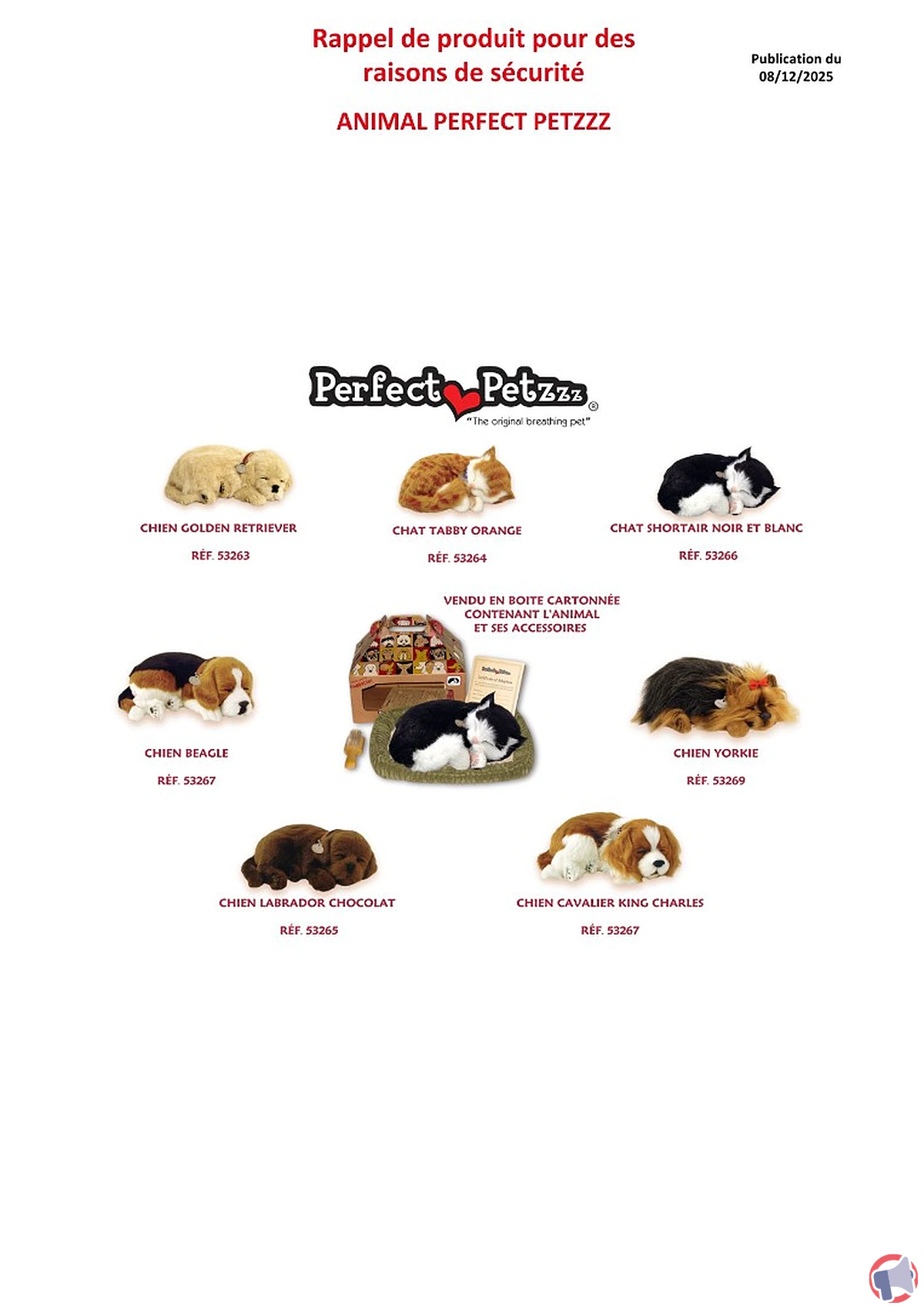 Rappel perfect petzzz : risques et informations sur le produit