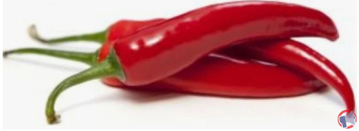 Rappel : piment rouge en vrac (5 kg) – pourquoi vous devez vérifier votre achat