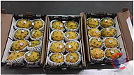 Rappel produit Pitahaya Jaune (photo numéro 1)