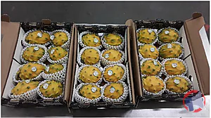 Rappel produit Pitahaya Jaune