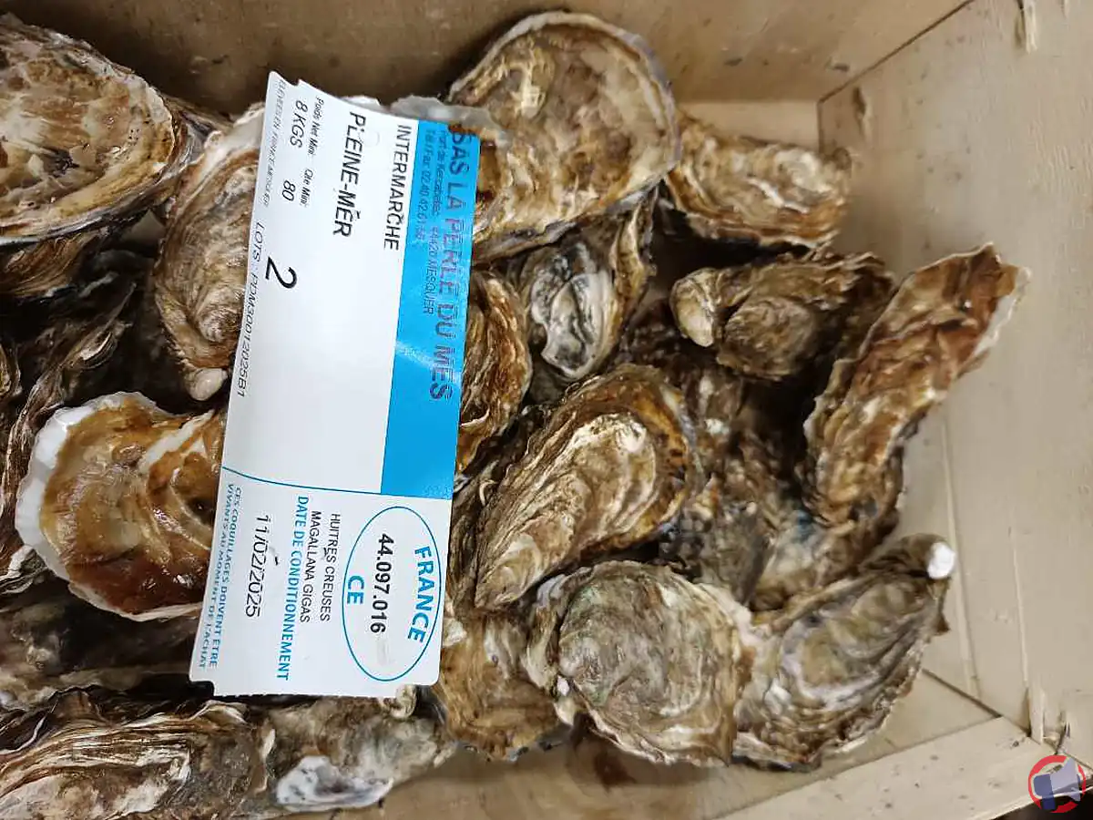 Rappel de produit : huîtres de Kercabellec de la marque Pleine mer