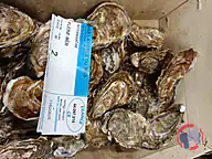 Rappel produit Huitres de Kercabellec Pleine mer (photo numéro 1)