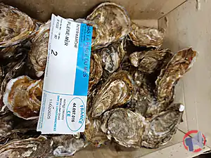 Rappel produit Huitres de Kercabellec Pleine mer