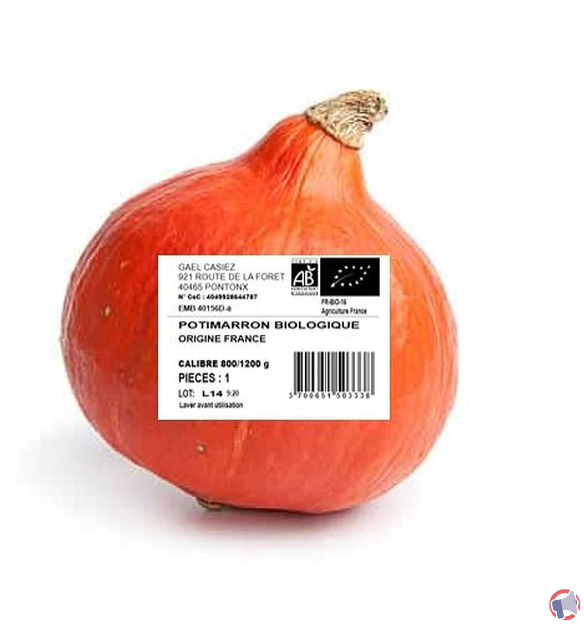 Rappel de potimarrons biologiques pour dépassement de pesticides
