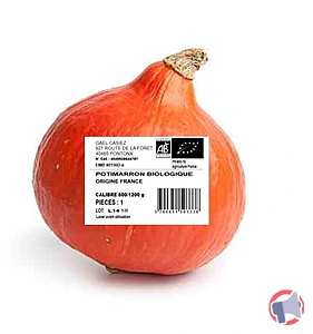 Rappel produit POTIMARRON BIOLOGIQUE CALIBRE 800/1200 GR ORIGINE FRANCE