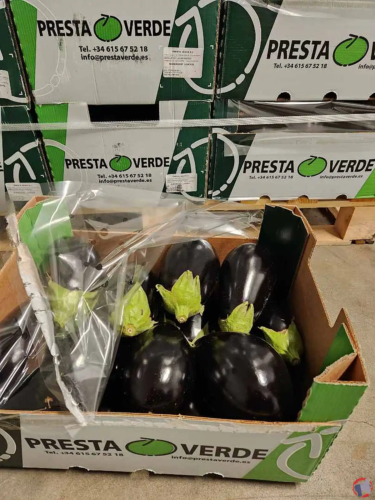 Rappel produit : Presta Verde aubergine — information et mesures à prendre