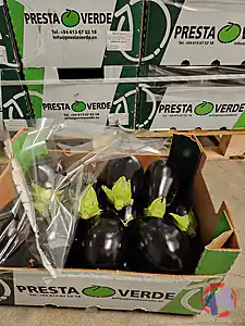 Rappel produit AUBERGINE PRESTA VERDE