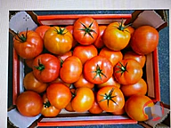 Rappel produit Tomate ronde Prince (photo numéro 1)