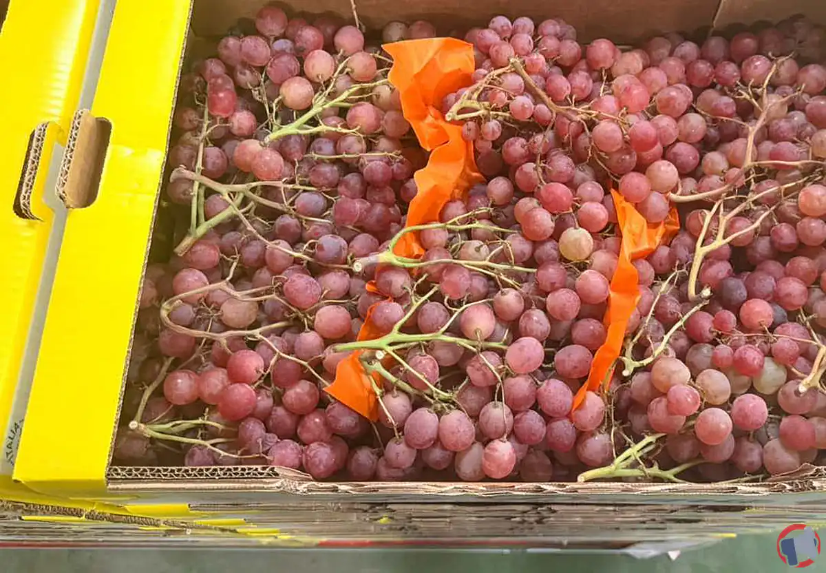 Raisin rosé vrac: rappel produit et précautions essentielles pour les consommateurs