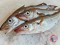 Rappel produit MERLAN ENTIER VIDE RAYON POISSON TRADITIONNEL (photo numéro 1)