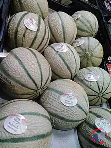 Rappel produit Melon de Provence Reflets de France