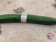 Rappel produit Concombre bio RIOU (photo numéro 1)