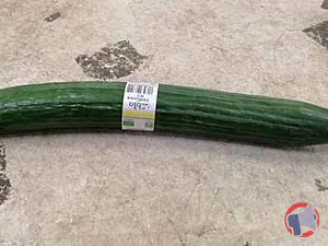 Rappel produit Concombre bio RIOU