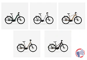 Rappel produit Rappel des vélos E-ACTV 900 LF GREY // E-ACTV 900 LF GREEN // E-LD 940 LF // E-ACTV 900 HF // E-LD 920 MF ROCKRIDER // BTWIN