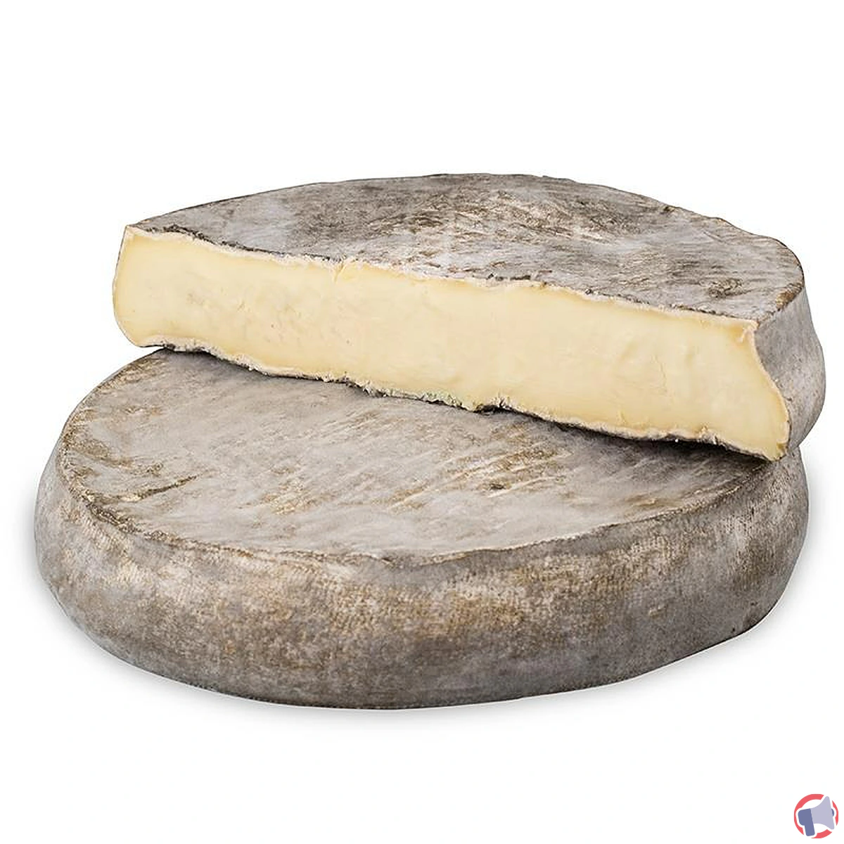 Rappel de produit : Contamination à la Listeria du Saint-Nectaire Fermier