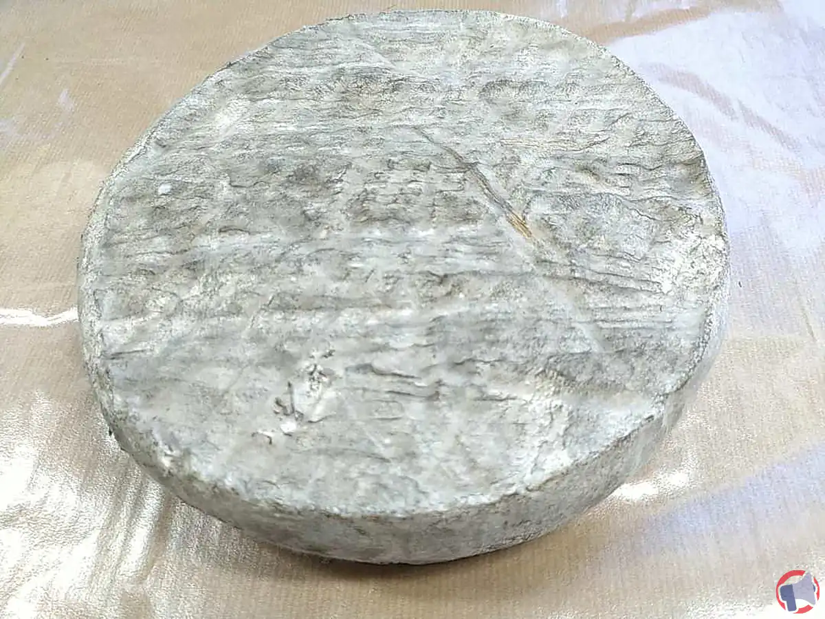 Saint-Nectaire fermier bio : rappel important pour la santé des consommateurs