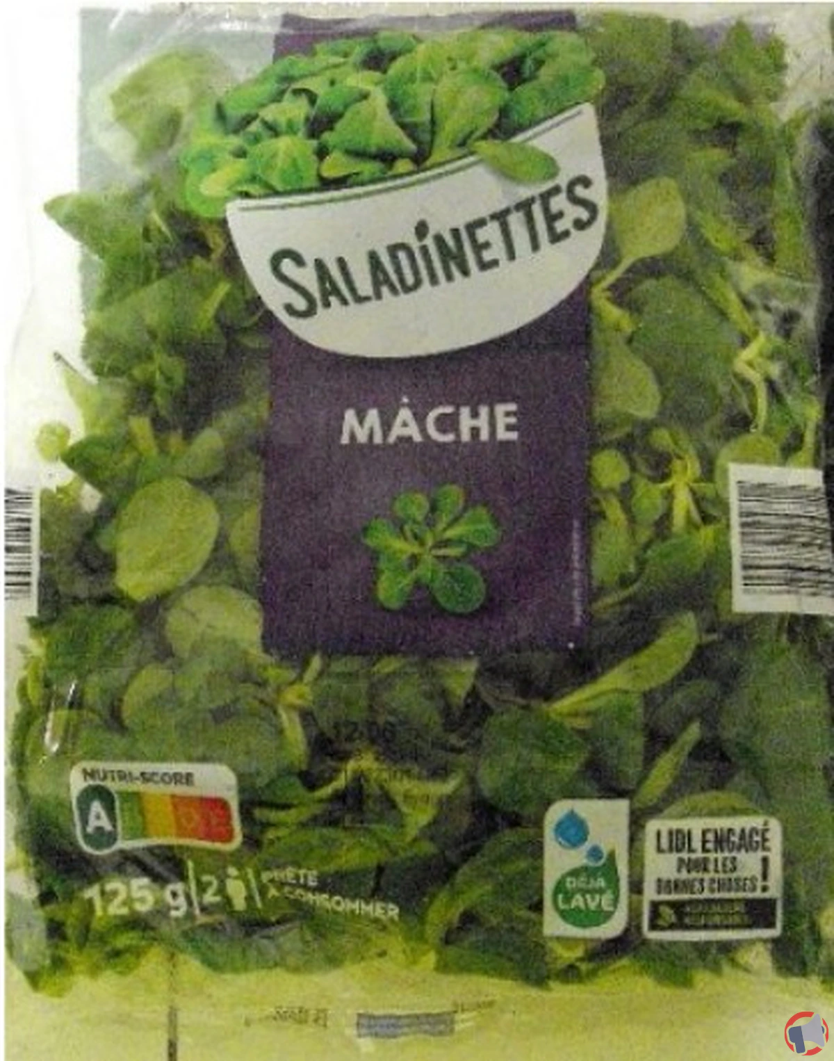 Rappel de saladinettes à la mâche : pourquoi ce produit est concerné et comment réagir