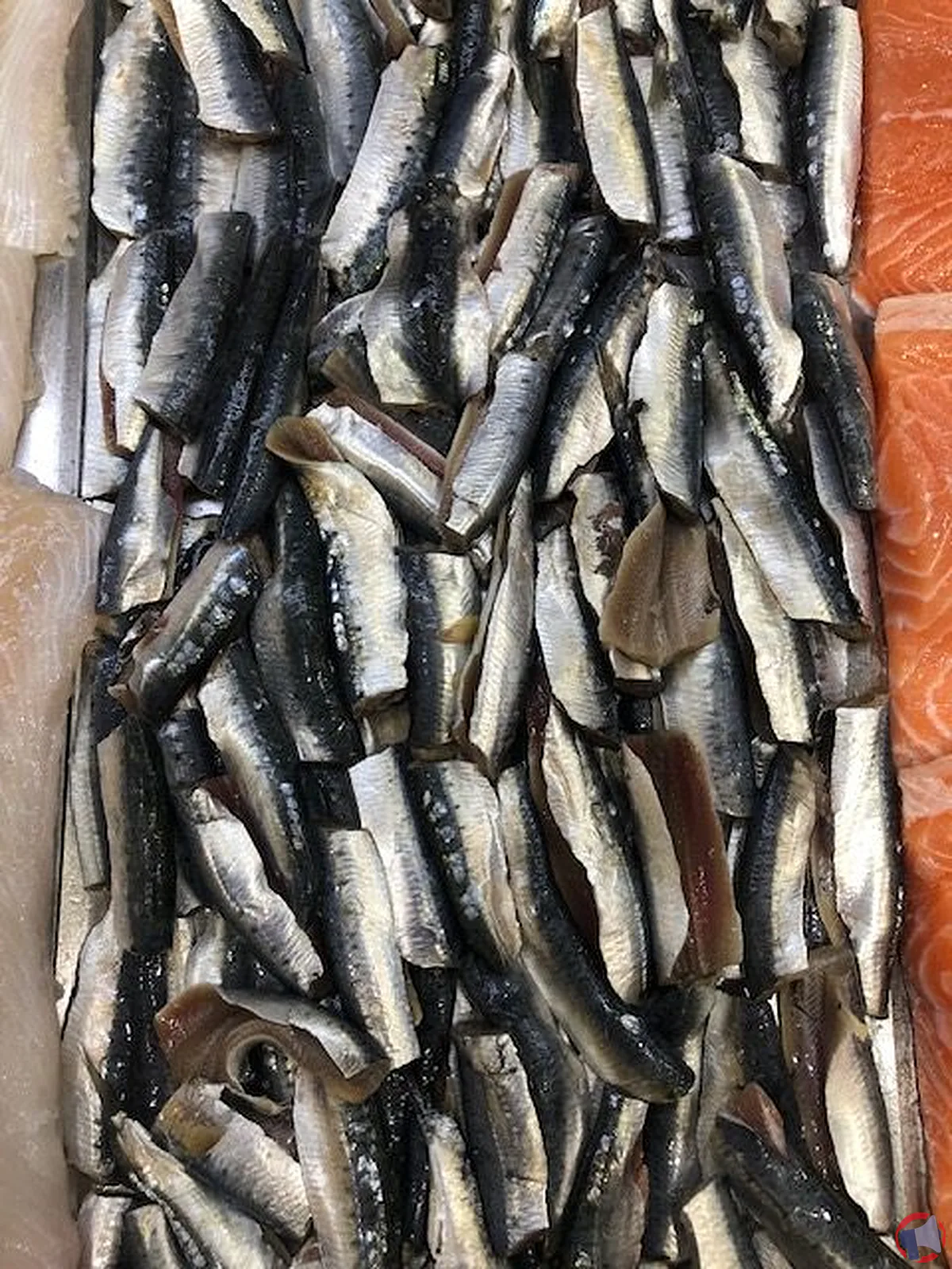 Rappel de filets de sardine : risque d'histamine