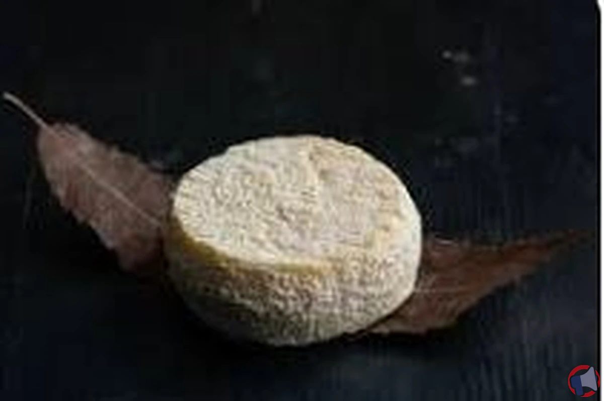 Rappel de produit : Fromage Mothais sur feuille vendu chez Leclerc Orvault pour risque de listeria